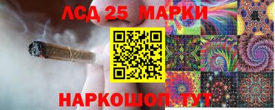 СК Шахты