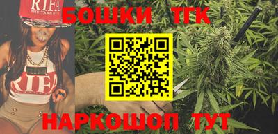 СК Шахты