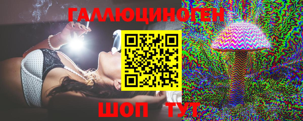 Псилоцибиновые грибы Psilocybe  Вход с VPN  Лениногорск  Галлюциногенные грибы мухоморы 