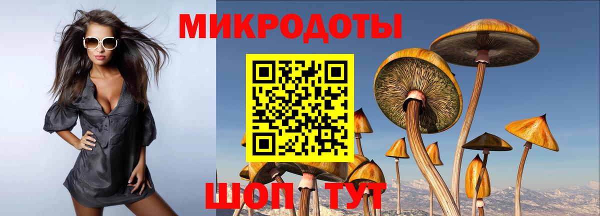 Псилоцибиновые грибы Psilocybine cubensis Лениногорск